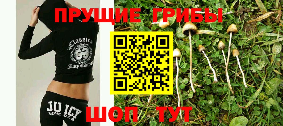 Псилоцибиновые грибы Magic Shrooms  как найти   Ржев  Вход с VPN 