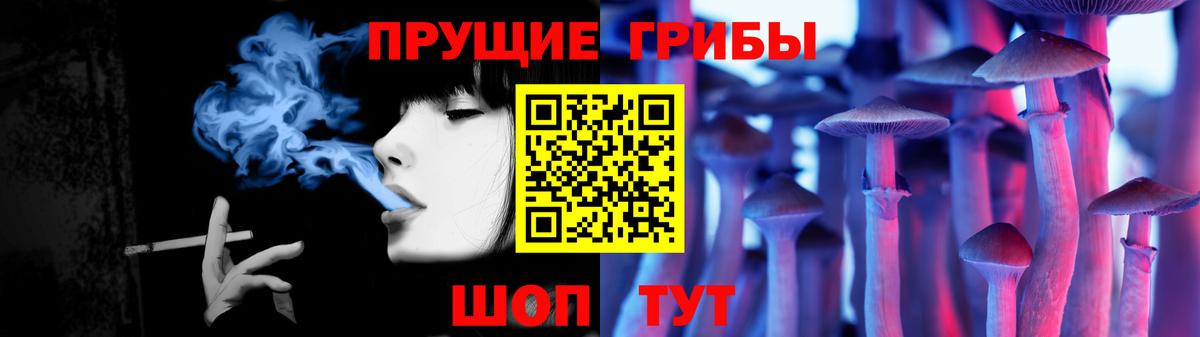 Галлюциногенные грибы Cubensis Ржев